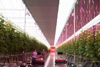 Growing More with Less: Energy Efficiency in Controlled Environment Agriculture