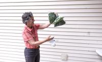 ‘They need it’: Local gardeners share their bounty with Hopkinton Food Pantry