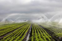 California phasing out herbicide linked to Parkinson’s disease