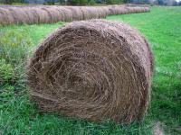 North Dakota activates Hay Hotline, producers encouraged to share impacts for drought documentation
