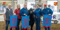 Ohio State Fair Celebrity Steer Show raises more than $285,000 for Ronald McDonald House Charities