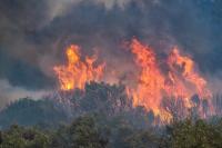 European wildfires to be very costly for insurers