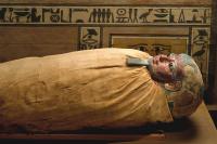 Online Trade in Mummified Remains Exposes Buyers to Arsenic, Mercury and Deadly Spores, Study Finds