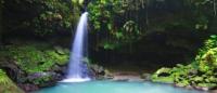 Dominica heads to Trinidad & Tobago for annual tourism sales mission