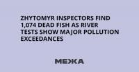 Zhytomyr Inspectors Find 1,074 Dead Fish as River Tests Show Major Pollution Exceedances