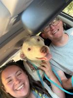 How New Jersey couple’s road trip to Steamboat Springs became a 21-day search for their lost dog