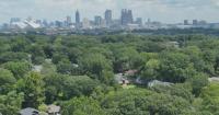 Atlanta residents voice concerns over shrinking tree canopy