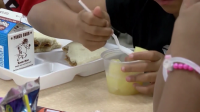 Fewer New Hampshire families eligible for free, reduced school lunches