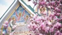 Herkimer County wind farm fight: A monastery, farmers and green energy