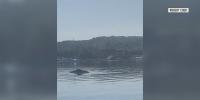 Experts, tourists react to humpback whale sightings in Penobscot Bay