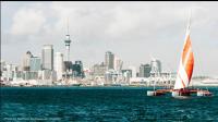 New Zealand opens consultation on prudential levy for insurers, financial firms