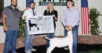 Ohio State Fair Outstanding Market Exhibitors