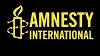 Osun election: Amnesty International urges Nigerian Govt to uphold human rights, prevent violence