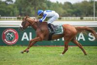 Fakhira impresses again at Liwa International Stakes in France