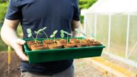 Gardeners issued urgent food poisoning caution — 'do not grow or eat it'