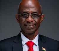 Political parties, judiciary must reform themselves to protect Africa’s democracy – Asiedu Nketia