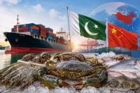 China’s Growing Seafood Demand Opens New Export Avenues for Pakistan