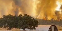 Immediate evacuation orders issued as wildfires rapidly spread across Nevada and Northern California