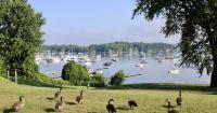 What are Canadian geese doing in Vermont? This expert has answers.