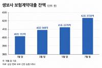Policy Loans at Korean Life Insurers Top 42 Trillion Won as Banks Tighten