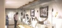 Bridging cultural divides through exhibitions: Role of museums in promoting peace, inclusion