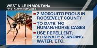 Mosquito pools in northeast Montana test positive for West Nile, no human cases to date