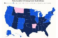 Trump Ends Medicaid Funds for Trans Children: Map of States Guarding Access