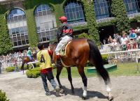 New York Commission Again Takes Aim at Reducing Mutuel Couplings