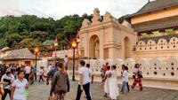 Tourist arrivals slip by 8% in early August