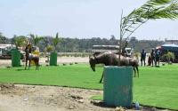 LSK sues Mombasa county, state agencies over construction at recreational gardens