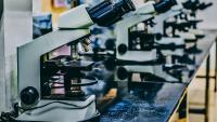 India is pouring money into R&D. Now institutes must improve ease of doing science