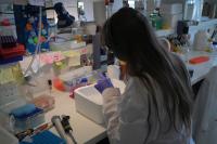 NIH Plans to Bar Scientists on Visas from the Award That Launches Independent Labs