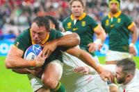 Fourie back to Springboks in time for New Zealand