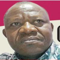 Igbo identity crisis: The DNA option (2), by Ochereome Nnanna