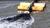 New Alabama law at odds with Army Corps' 20-year dredging plan