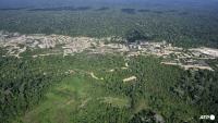Brazil's natural areas shrink, worsening El Nino impact