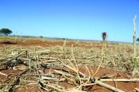 El Niño puts Botswana on drought red alert