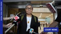 Barrister group asks court to overturn decision clearing democrat Margaret Ng of misconduct linked to 2019 protest conviction