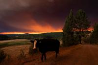 Not addressing climate change costs the economy more. When will we finally get this?
