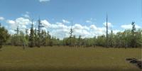 Giant Salvinia infestation threatens Cheniere Lake, Prompts environmental concerns