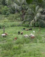Palo Seco: A village rich in history, short on opportunity