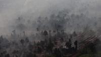 Forest Fires Ravage 10 Indonesian Provinces
