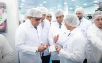 Locally Produced Insulin Now Exceeds Egypt's Demand
