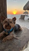 Luigi and his parents love Aruba!