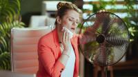 Should workplaces in Ireland close early in extreme heat? Take our poll and have your say