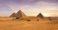 Can processed food exports ease Egypt’s currency crisis?