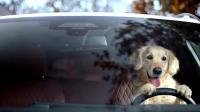 BMW puts Australian creative account up for pitch