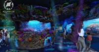 Aquarium of Guam appoints international aquarium leader ahead of reopening