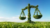 The Way I See It… There’s More Seed in the Farm Bill Than You Think