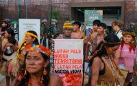 Indigenous Stories Are Global Stories